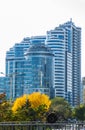 Russia, Rostov-on-Don, Cityscape of Rostov-on-Don. High-rise buildings. Autumn in the city