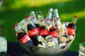 Coca Cola in a glass bottle in a toe with ice cubes with frozen flowers.