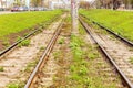 New sidewalk with paving slabs in a young urban green zone Royalty Free Stock Photo