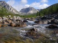 Russia Siberia Buryatiya the Barguzinsky taiga of the Hill the World the Nature the Landscape