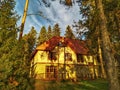 Russia, Siverskaya, Leningrad region - October 15, 2023: House in the middle of the forest on a sunny day