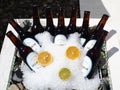 Russia, Sochi 15.05.2021. Beer bottles are chilled in an ice basket and garnished with lemons outdoors. Beach cafe