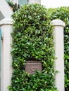 Russia, Sochi 10.03.2019. Brown iron letterbox with an inscription and a pattern in green bushes