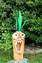 Russia, Sochi 14.05.2022. Crazy big-eyed carrot screams with his tongue out. Cartoon garden figurine on the lawn