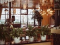 Russia, Sochi 14.03.2020. The interior of the cafe with plants standing on a stand in the foreground, many bright