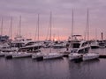 Russia. Sochi - june, 2016. Sailboats and yachts docked in sea port at sunset. Marine parking of modern motor and sailing boats in Royalty Free Stock Photo