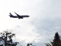 Russia, Sochi 08.05.2021. A large plane flies in the sky at a low altitude above the treetops