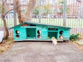Russia, Sochi 18.02.2020. Long wooden cat house with the inscription do not throw the kittens this is not a shelter on