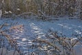 Snowdrifts in the swamp Royalty Free Stock Photo