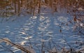 Snowdrifts in the swamp Royalty Free Stock Photo