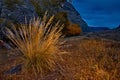 Moonlight night in the Altai Mountains