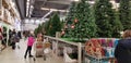 Artificial Christmas trees in the store on sale