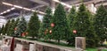 Artificial Christmas trees in the store on sale
