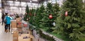 Artificial Christmas trees in the store on sale