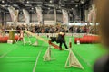 Exhibitors showing their pets during International Dog Show