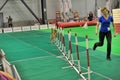 Exhibitors showing their pets during International Dog Show