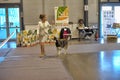 Exhibitors showing their pets during International Dog Show