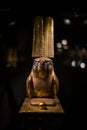Russia, St. Petersburg - March 10, 2023: Figurine of an owl in the Museum of Ancient Egypt