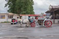 Russia. St. Petersburg, Peterhof. A carriage with a team of white horses on the station square. Cloudy summer day, soft daylight.