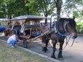 Russia. Suzdal. Decoration of the city. Tourist entertainment.