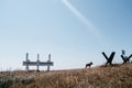 10-08-2020 Russia, Tuapse. Hike to places of military glory in the national Park of Russia. Silhouette of a dog on top of a