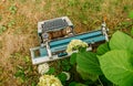 08/01/2021 Russia, Tula, an old rusty broken typewriter stands on the ground in a flower bed with hydrangeas