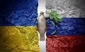 Ukraine Russia Peace Crisis