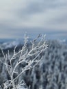 Russia, Ural Mountains, winter, white snow