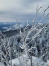 Russia, Ural Mountains, winter, white snow Royalty Free Stock Photo