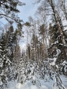 Russia, Ural Mountains, winter, white snow