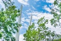 Russia, Vladivostok. View on Golden Bridge through the tree branches in sunny day.