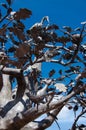 Russia, Zlatoust - September 2019: Bazhov Mountain Park, bronze sculpture of tree and animals.