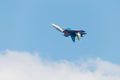 Sukhoi SU-30 Flanker-C, aerobatic team Russian Knights