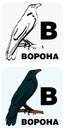 Russian alphabet cards