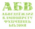 Russian alphabet, flowers and berries, green, vector Royalty Free Stock Photo