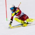 Skier skiing down mountain slope. Russian Alpine Skiing Championship, slalom Royalty Free Stock Photo