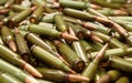 Russian ammo Royalty Free Stock Photo