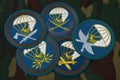 Russian Army patches. Airborne troops units