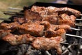 Russian barbecue, ÃÂ¨ÃÂ°ÃËÃÂ»Ãâ¹ÃÂºÃÂ¸