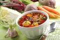 Russian beetroot soup with vegetables Royalty Free Stock Photo