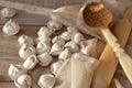 Russian bio gourmet food: preparation of dumplings or pelmeni, russian raviole. Natural healthy ingredient