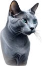 Russian Blue cat, Colored-pencil sketch of a Russian Blue cat. AI-Generated. Royalty Free Stock Photo