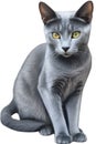 Russian Blue cat, Colored-pencil sketch of a Russian Blue cat. AI-Generated. Royalty Free Stock Photo