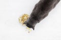 Russian blue cat lies on floor in front of bowl full of pills