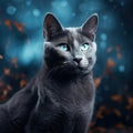 of russian blue cat outdoor