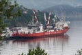 Russian cargo container ship Sevmorput - nuclear-powered ice breaker lighter aboard ship carrier. Container terminal commercial se