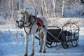 Russian cart!