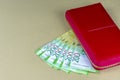 Russian cash. Banknotes in two hundred rubles. Red woman wallet. Payment