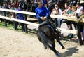 Russian championship in trick riding