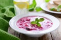 Russian cuisine - cold soup from beetrot and cucumbers Royalty Free Stock Photo